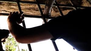 1234864_504342462991211_859394308_n